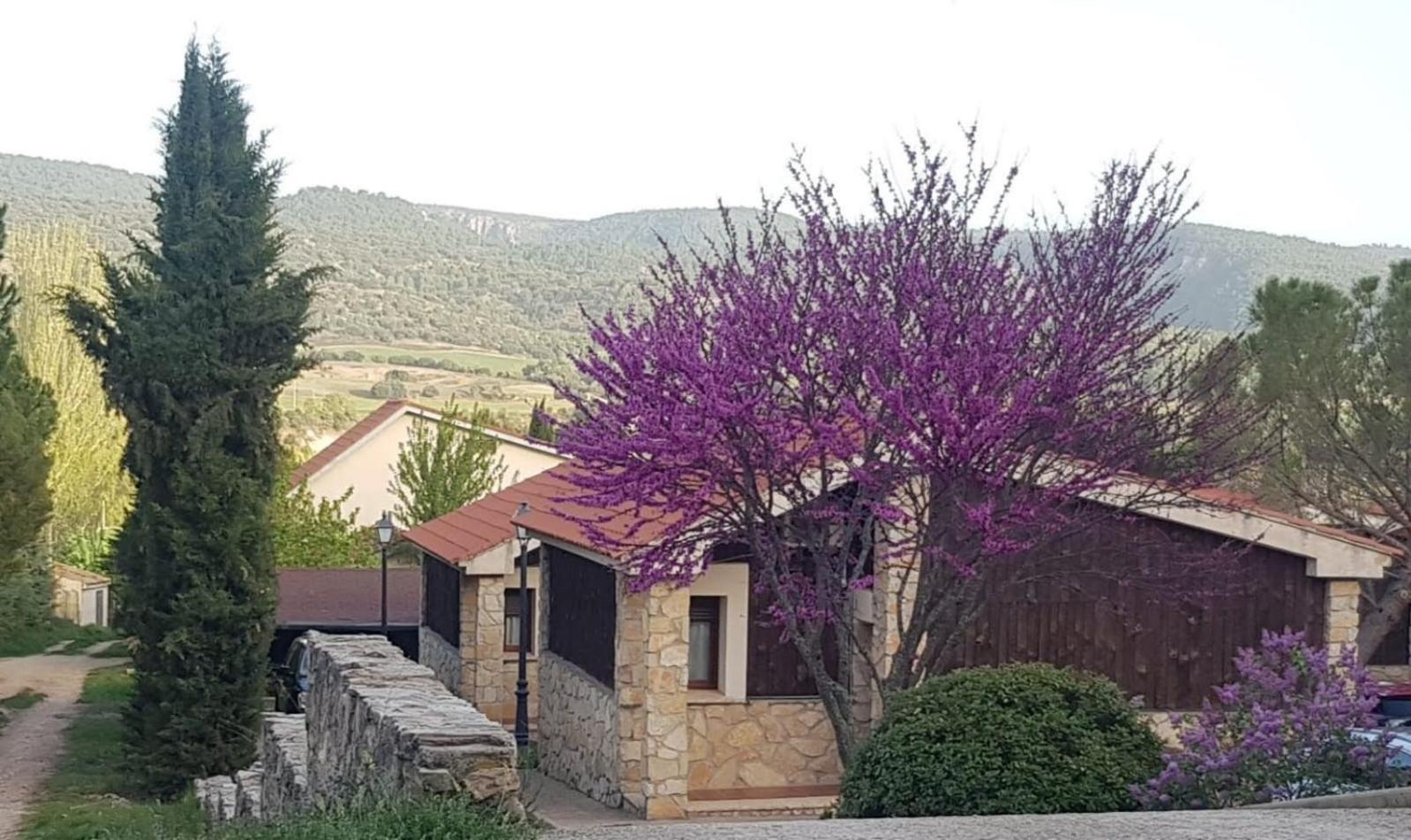 Aventura & Relax Cabanas Pena La Higuera Villalba de la Sierra Bagian luar foto